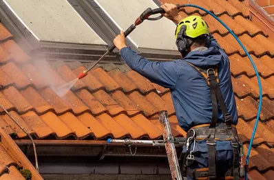 Démoussage et hydrofuge de toiture à Viscomtat